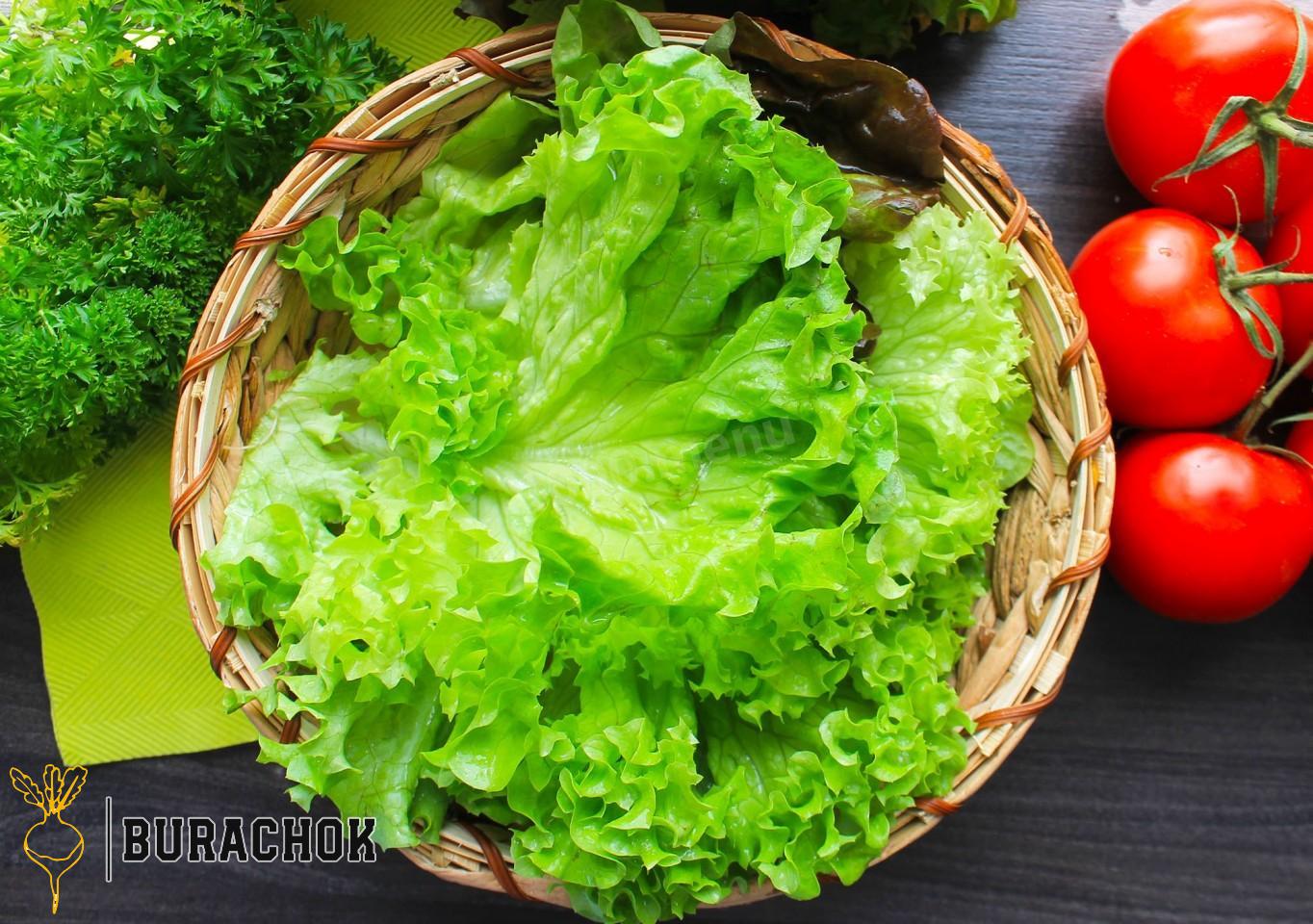 Салат з куркою, огірками та помідорами.